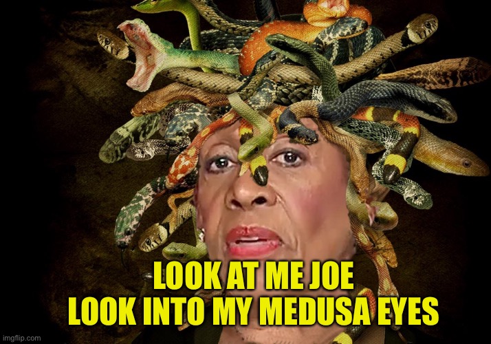 But hug Cameltoya before you do | LOOK AT ME JOE LOOK INTO MY MEDUSA EYES | image tagged in maxdusa waters,dirty little maxine,evils kuntievel | made w/ Imgflip meme maker