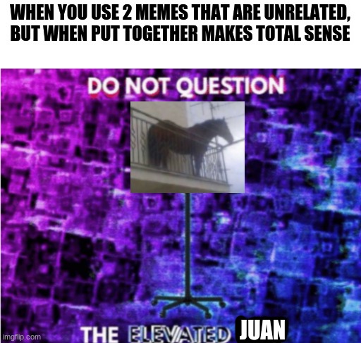 Do not question the elevated one | WHEN YOU USE 2 MEMES THAT ARE UNRELATED, BUT WHEN PUT TOGETHER MAKES TOTAL SENSE; JUAN | image tagged in do not question the elevated one | made w/ Imgflip meme maker