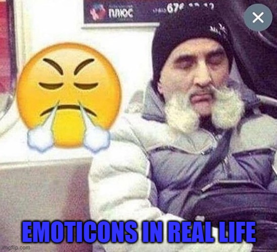 Looks like this one is real! | EMOTICONS IN REAL LIFE | image tagged in emoticons,memes,real life | made w/ Imgflip meme maker