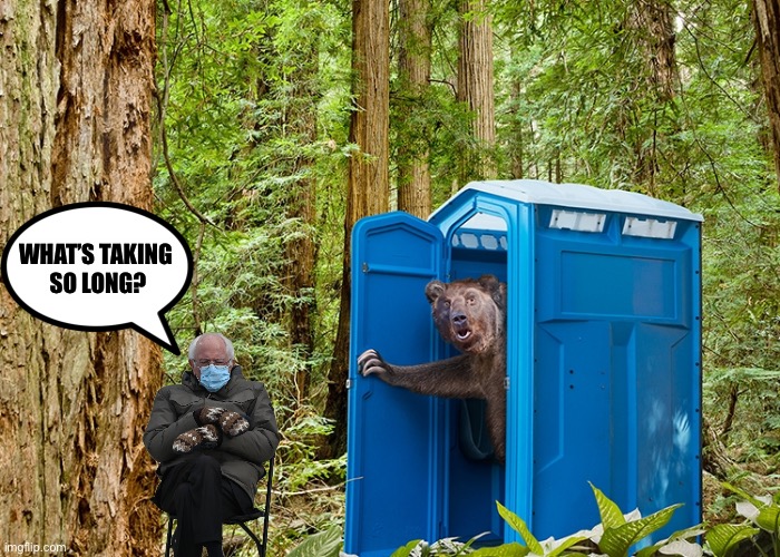 Outhouse Bear | WHAT’S TAKING
 SO LONG? | image tagged in outhouse bear | made w/ Imgflip meme maker