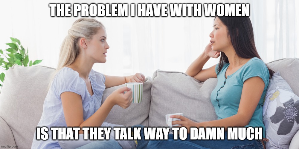 Two women talking | THE PROBLEM I HAVE WITH WOMEN; IS THAT THEY TALK WAY TO DAMN MUCH | image tagged in two women talking | made w/ Imgflip meme maker