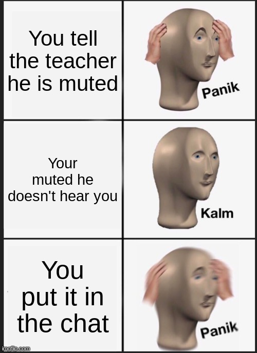 That one Kid... | You tell the teacher he is muted; Your muted he doesn't hear you; You put it in the chat | image tagged in memes,panik kalm panik | made w/ Imgflip meme maker