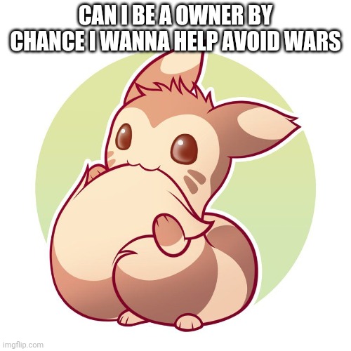 Cute ferret | CAN I BE A OWNER BY CHANCE I WANNA HELP AVOID WARS | image tagged in cute ferret | made w/ Imgflip meme maker