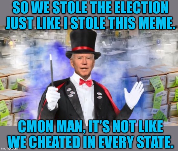What Are You, Stupid? | SO WE STOLE THE ELECTION JUST LIKE I STOLE THIS MEME. CMON MAN, IT’S NOT LIKE WE CHEATED IN EVERY STATE. | image tagged in hashtag sugartits | made w/ Imgflip meme maker