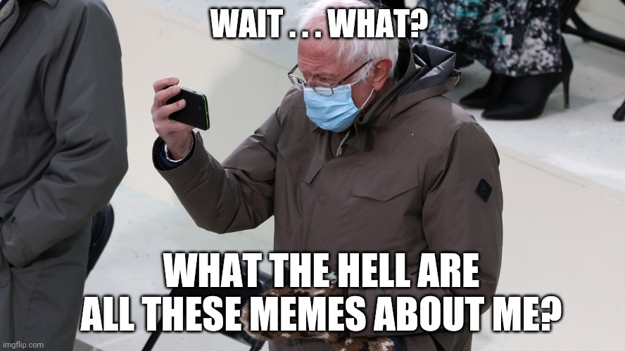 What's a Meem? | WAIT . . . WHAT? WHAT THE HELL ARE ALL THESE MEMES ABOUT ME? | image tagged in bernie sanders,2021,joe biden,inaguration,kamala harris,memes | made w/ Imgflip meme maker