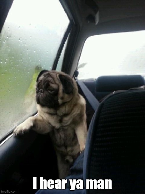 Introspective Pug | I hear ya man | image tagged in introspective pug | made w/ Imgflip meme maker