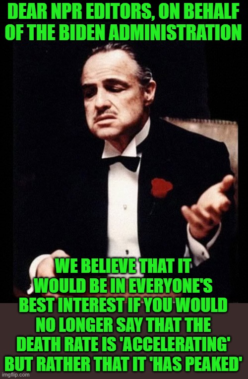 mafia don corleone | DEAR NPR EDITORS, ON BEHALF OF THE BIDEN ADMINISTRATION WE BELIEVE THAT IT WOULD BE IN EVERYONE'S BEST INTEREST IF YOU WOULD NO LONGER SAY T | image tagged in mafia don corleone | made w/ Imgflip meme maker
