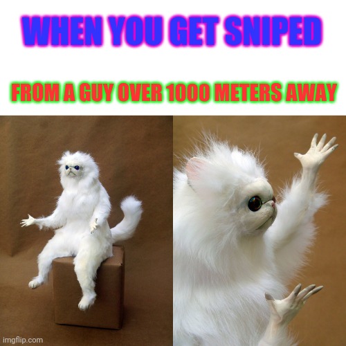 Why just why. | WHEN YOU GET SNIPED; FROM A GUY OVER 1000 METERS AWAY | image tagged in then why cat | made w/ Imgflip meme maker