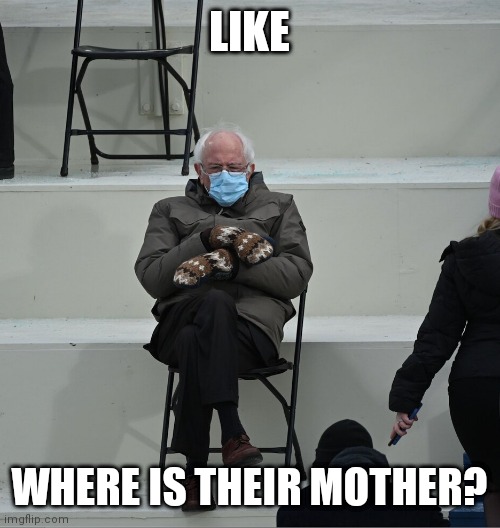 Bernie Mittens | LIKE; WHERE IS THEIR MOTHER? | image tagged in bernie mittens | made w/ Imgflip meme maker