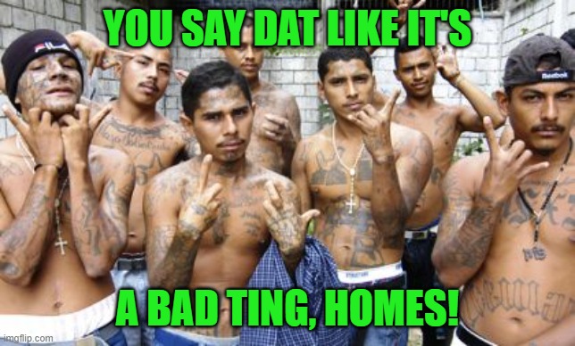 Ms13 | YOU SAY DAT LIKE IT'S A BAD TING, HOMES! | image tagged in ms13 | made w/ Imgflip meme maker