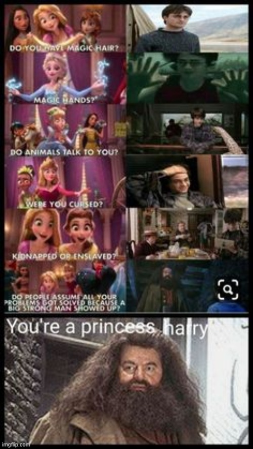 It all makes sense now! | image tagged in harry potter,princess,disney,stop reading the tags,oh wow are you actually reading these tags | made w/ Imgflip meme maker