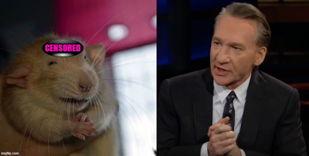 Rats | CENSORED | image tagged in anti-scumitic,bill maher,rats | made w/ Imgflip meme maker