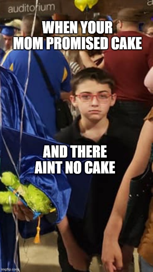 no cake | WHEN YOUR MOM PROMISED CAKE; AND THERE AINT NO CAKE | image tagged in sad face | made w/ Imgflip meme maker