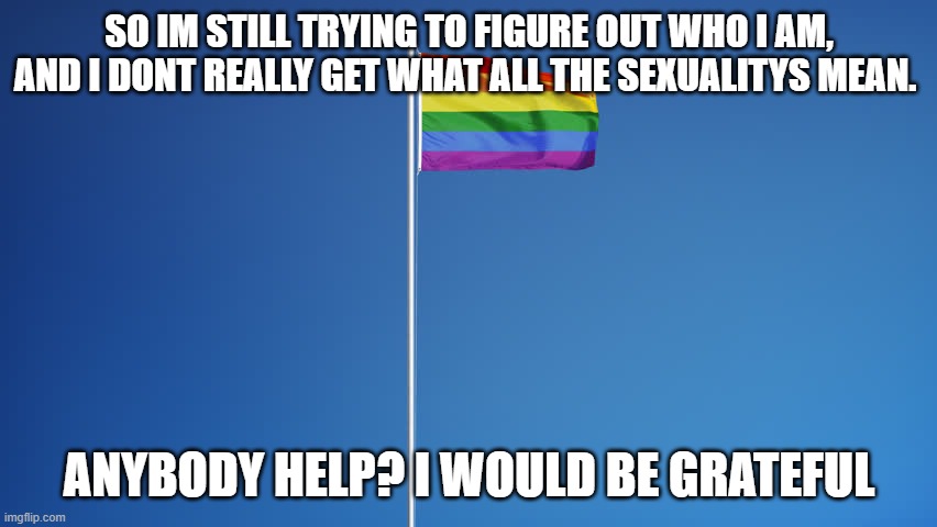 LGBTQ Flag | SO IM STILL TRYING TO FIGURE OUT WHO I AM, AND I DONT REALLY GET WHAT ALL THE SEXUALITYS MEAN. ANYBODY HELP? I WOULD BE GRATEFUL | image tagged in lgbtq flag | made w/ Imgflip meme maker