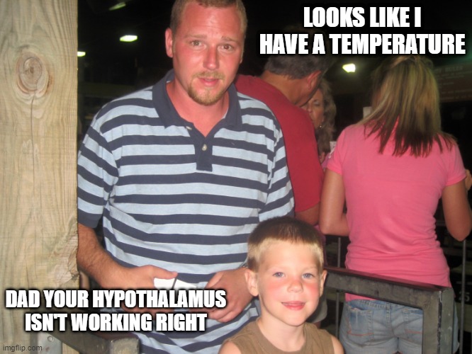 fever | LOOKS LIKE I HAVE A TEMPERATURE; DAD YOUR HYPOTHALAMUS ISN'T WORKING RIGHT | image tagged in hypothalamus fever,brain | made w/ Imgflip meme maker
