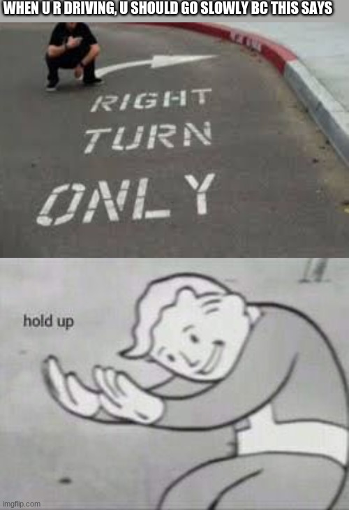 Wait what!?!??!?! | WHEN U R DRIVING, U SHOULD GO SLOWLY BC THIS SAYS | image tagged in fallout hold up | made w/ Imgflip meme maker