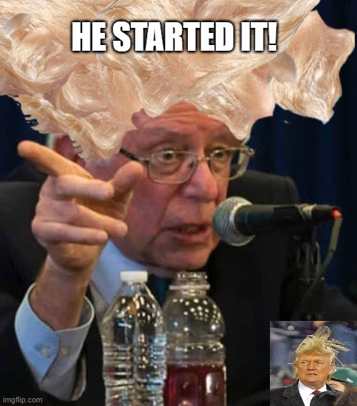 He Started It | HE STARTED IT! | image tagged in bernie sanders,donald trump | made w/ Imgflip meme maker