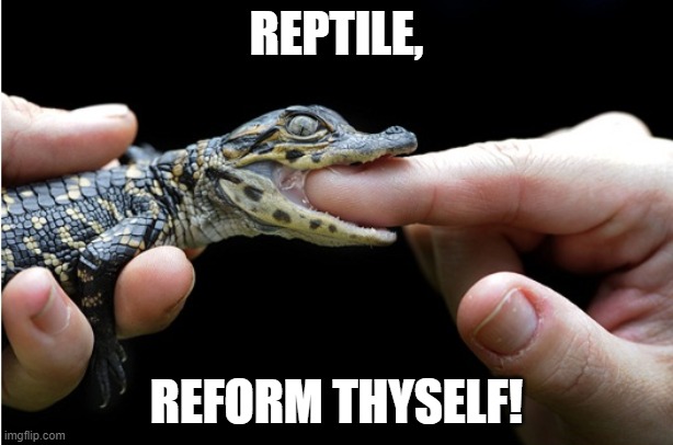 Reptile, Reform Thyself! | REPTILE, REFORM THYSELF! | image tagged in alligators,does he bite | made w/ Imgflip meme maker