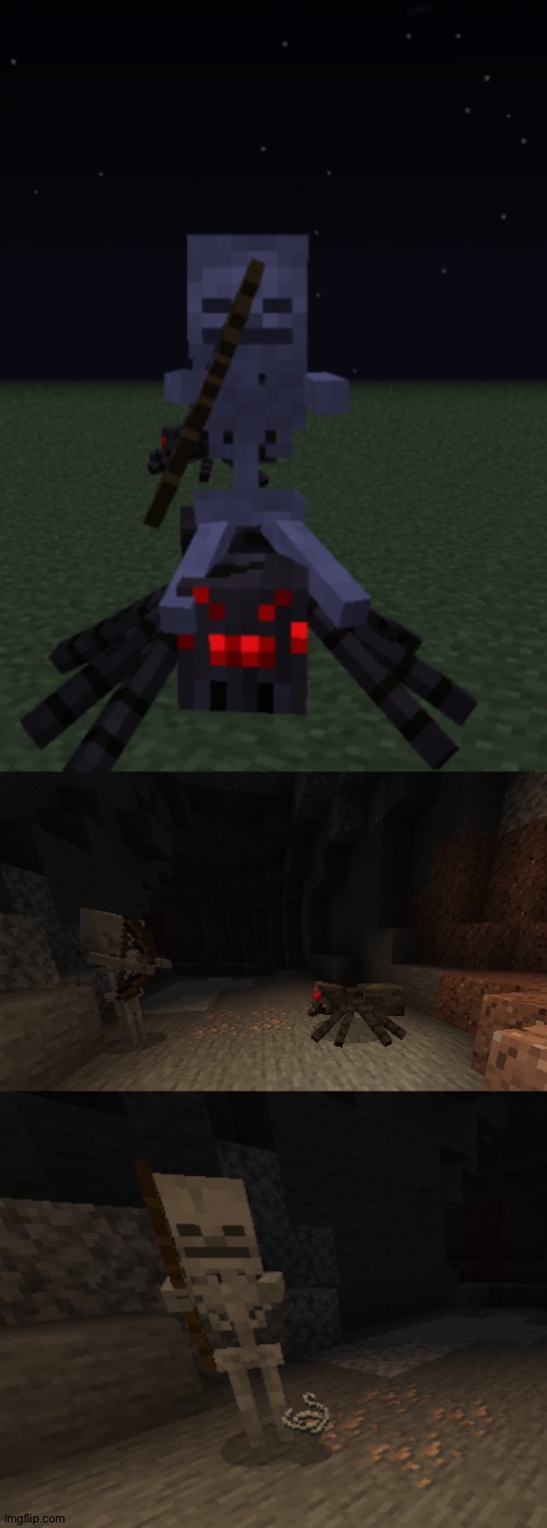 WHAT | image tagged in spider,skeleton,minecraft,the betrayed,betrayal,betrayed | made w/ Imgflip meme maker