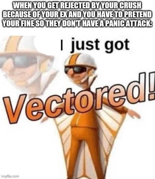 I just got Vectored! | WHEN YOU GET REJECTED BY YOUR CRUSH BECAUSE OF YOUR EX AND YOU HAVE TO PRETEND YOUR FINE SO THEY DON'T HAVE A PANIC ATTACK: | image tagged in i just got vectored,exes,relationships | made w/ Imgflip meme maker