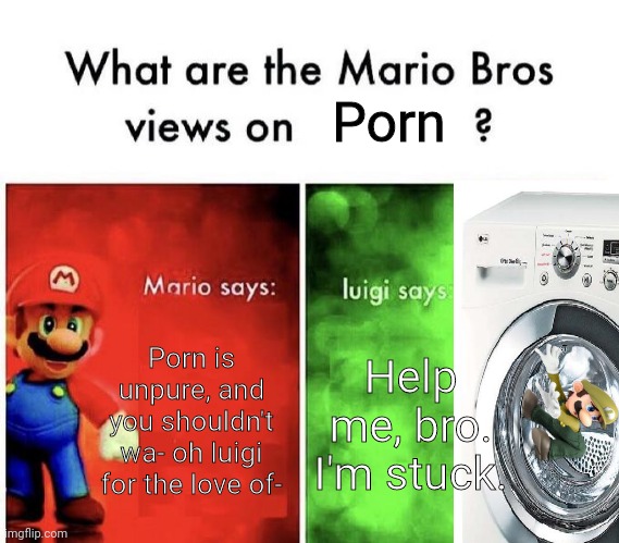 That's because you're a dog, luigi. | Porn; Porn is unpure, and you shouldn't wa- oh luigi for the love of-; Help me, bro. I'm stuck. | image tagged in mario bros views | made w/ Imgflip meme maker