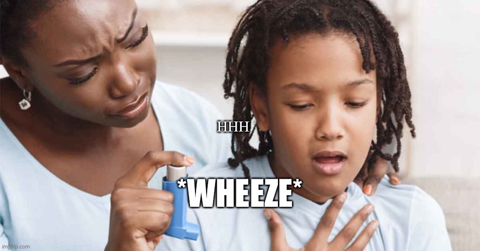 WHeEze | HHH; *WHEEZE* | image tagged in funny memes,wheeze,breathe | made w/ Imgflip meme maker