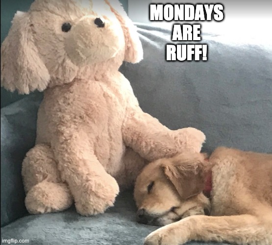 Henley | MONDAYS
                              ARE
                              RUFF! | image tagged in funny | made w/ Imgflip meme maker