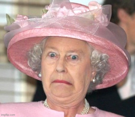 the Queen Elizabeth II | image tagged in the queen elizabeth ii | made w/ Imgflip meme maker
