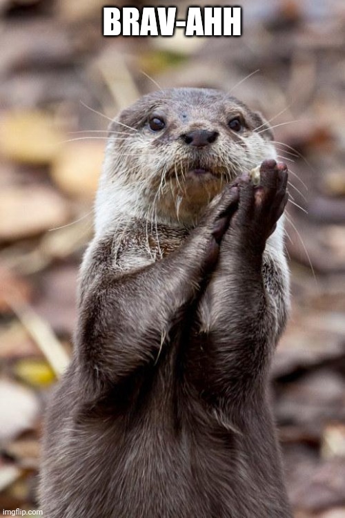 Slow-Clap Otter | BRAV-AHH | image tagged in slow-clap otter | made w/ Imgflip meme maker