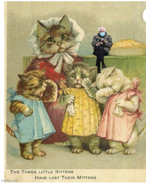 Bernie kittens | image tagged in bernie mittens | made w/ Imgflip meme maker