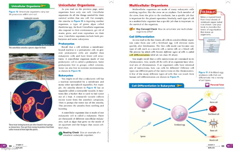 here is a section of my science text book from popular request | image tagged in memes,funny,bruh,science,idk | made w/ Imgflip meme maker