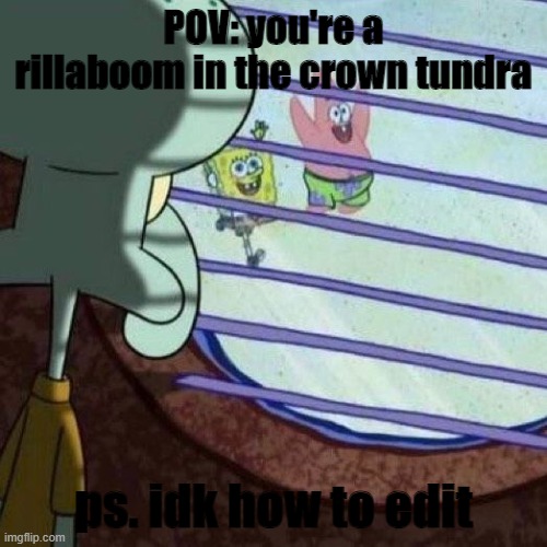 dear god the snow | POV: you're a rillaboom in the crown tundra; ps. idk how to edit | image tagged in squidward looking outside | made w/ Imgflip meme maker
