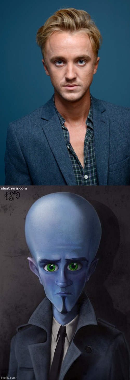 The similarity here is disturbing | image tagged in harry potter,megamind,tom felton,funny memes | made w/ Imgflip meme maker