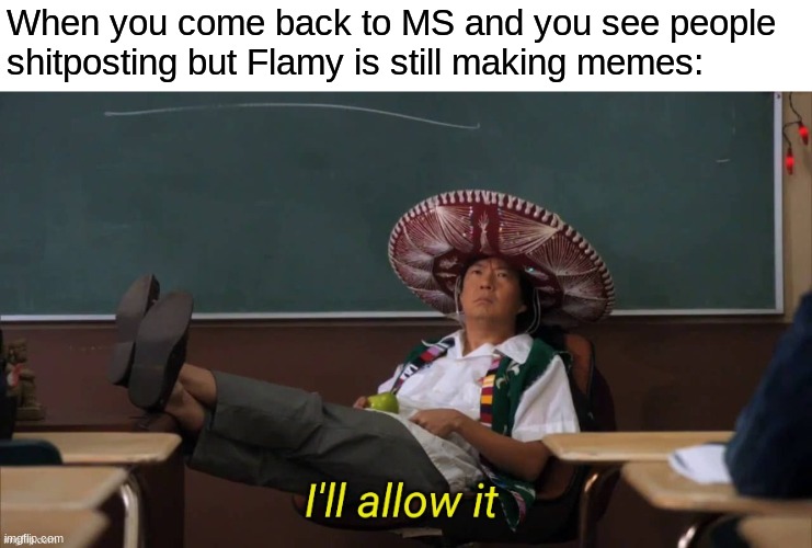 I'll allow it | When you come back to MS and you see people shitposting but Flamy is still making memes: | image tagged in i'll allow it | made w/ Imgflip meme maker