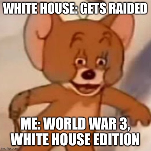 Bread is better | WHITE HOUSE: GETS RAIDED; ME: WORLD WAR 3, WHITE HOUSE EDITION | image tagged in polish jerry | made w/ Imgflip meme maker