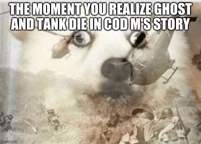 nooo not again | THE MOMENT YOU REALIZE GHOST AND TANK DIE IN COD M'S STORY | image tagged in ptsd dog | made w/ Imgflip meme maker