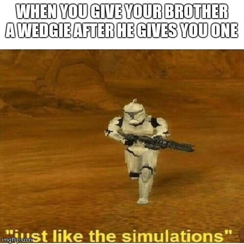 Just like the simulations | WHEN YOU GIVE YOUR BROTHER A WEDGIE AFTER HE GIVES YOU ONE | image tagged in just like the simulations | made w/ Imgflip meme maker