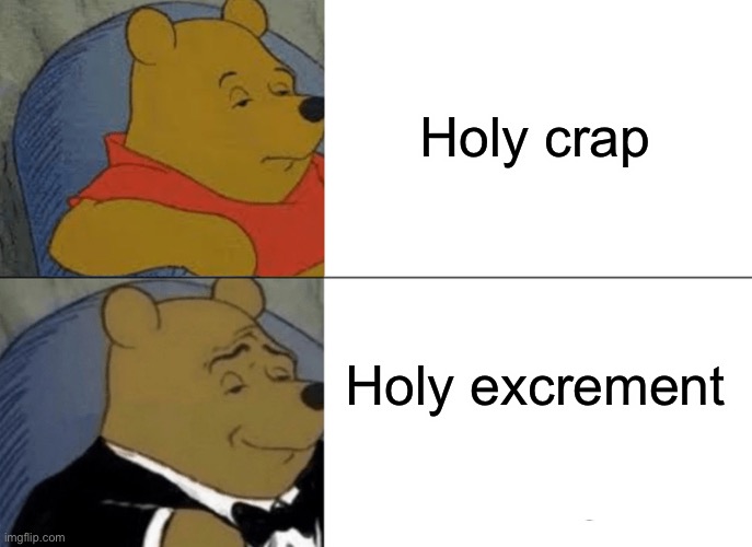 Tuxedo Winnie The Pooh Meme | Holy crap; Holy excrement | image tagged in memes,tuxedo winnie the pooh,why not | made w/ Imgflip meme maker