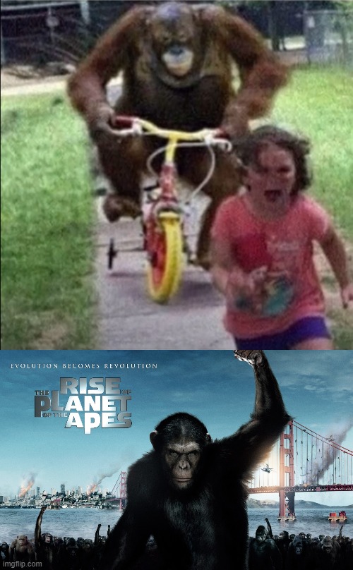 Fantasy Becomes Reality | image tagged in monke,rise of planet of the apes,funny | made w/ Imgflip meme maker