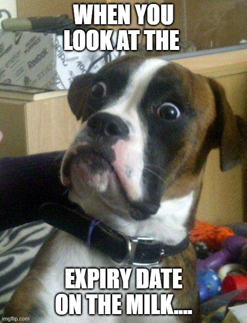 Cheese | WHEN YOU LOOK AT THE; EXPIRY DATE ON THE MILK.... | image tagged in blankie the shocked dog | made w/ Imgflip meme maker