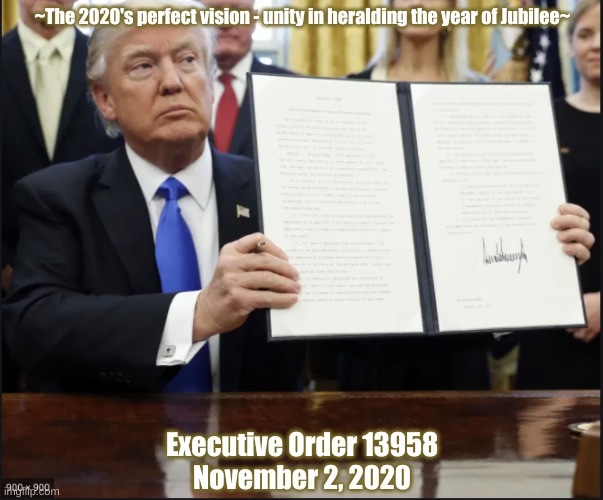 chosen US of America | ~The 2020's perfect vision - unity in heralding the year of Jubilee~; Executive Order 13958
November 2, 2020 | image tagged in donald trump executive order | made w/ Imgflip meme maker