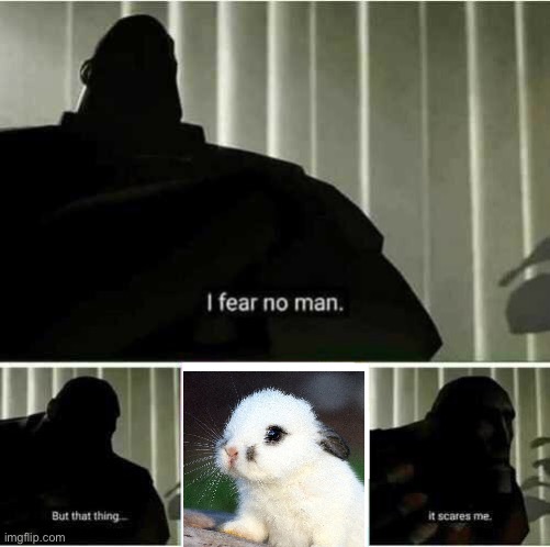 I fear no man | image tagged in i fear no man | made w/ Imgflip meme maker