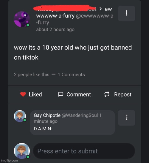 Alright, so this dude (ewwwwww-a-furry) is completely rude and hateful towards furries. This is one of the many posts | image tagged in burn,furries | made w/ Imgflip meme maker