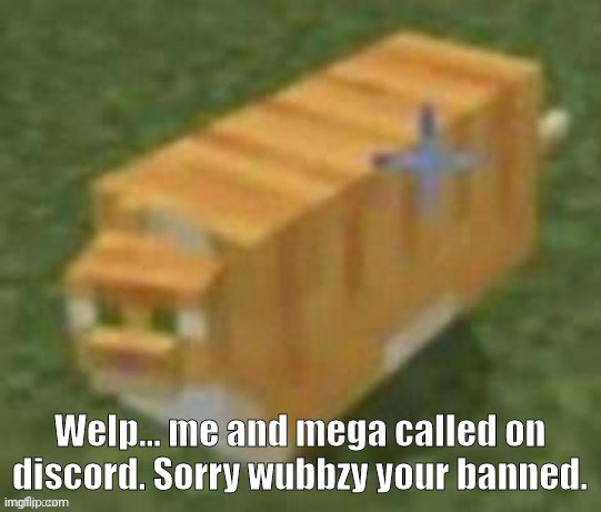 And thats final. | Welp... me and mega called on discord. Sorry wubbzy your banned. | image tagged in oh lawd he comin minecraft | made w/ Imgflip meme maker