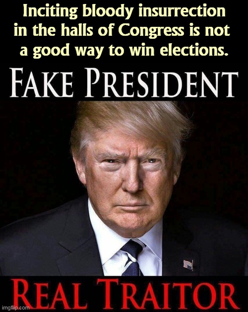 What is it we do with traitors again? Remind me. | Inciting bloody insurrection in the halls of Congress is not 
a good way to win elections. | image tagged in trump,traitor,treason | made w/ Imgflip meme maker