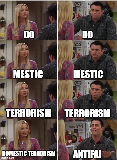 Phoebe Joey | DO; DO; MESTIC; MESTIC; TERRORISM; TERRORISM; DOMESTIC TERRORISM; ANTIFA! | image tagged in phoebe joey | made w/ Imgflip meme maker