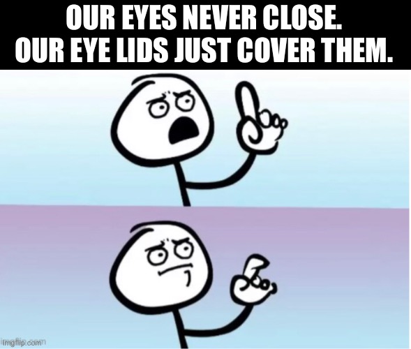 Logic | OUR EYES NEVER CLOSE. OUR EYE LIDS JUST COVER THEM. | image tagged in logic,funny,upvotes,say that again i dare you,oh wow are you actually reading these tags | made w/ Imgflip meme maker