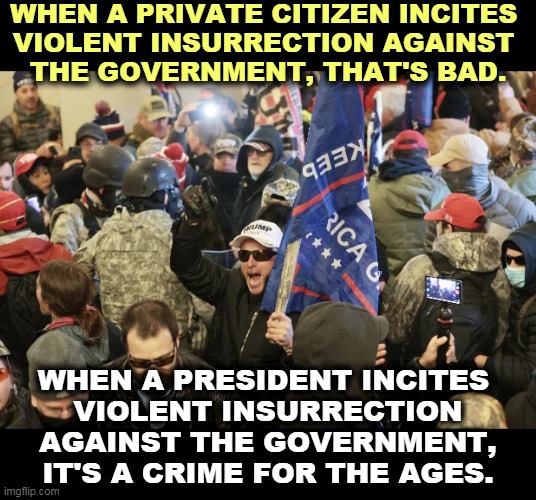 These are traitors, not patriots. And Trump is the biggest traitor of them all. | WHEN A PRIVATE CITIZEN INCITES 
VIOLENT INSURRECTION AGAINST 
THE GOVERNMENT, THAT'S BAD. WHEN A PRESIDENT INCITES 
VIOLENT INSURRECTION AGAINST THE GOVERNMENT, IT'S A CRIME FOR THE AGES. | image tagged in trump,treason,traitor | made w/ Imgflip meme maker