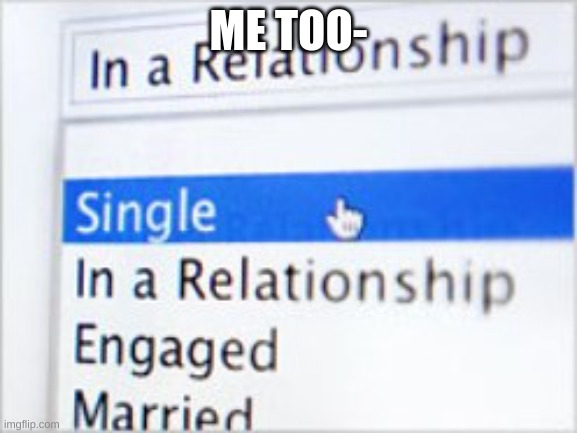 Relationship status Facebook  | ME TOO- | image tagged in relationship status facebook | made w/ Imgflip meme maker