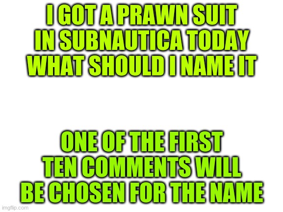 NAME ?????? | I GOT A PRAWN SUIT IN SUBNAUTICA TODAY WHAT SHOULD I NAME IT; ONE OF THE FIRST TEN COMMENTS WILL BE CHOSEN FOR THE NAME | image tagged in blank white template | made w/ Imgflip meme maker